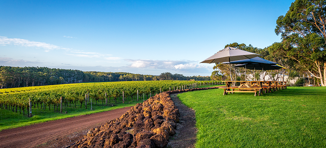 Hamelin Bay Wines picnic area and vineyard